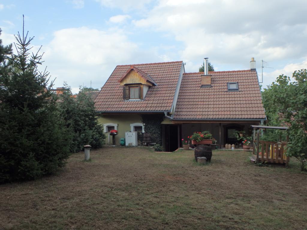 Penzion Vlasta Moravská Nová Ves Kültér fotó